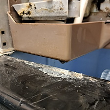 Perfecting-the-Pairing-in-Melbourne- 9