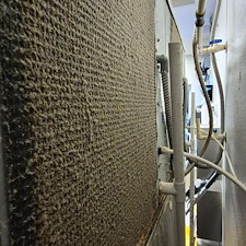 Recent-Project-Spotlight-Ice-Machine-Preventative-Maintenance-in-Port-Orange-FL- 16