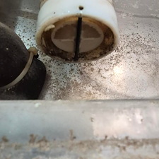 Recent-Project-Spotlight-Ice-Machine-Preventative-Maintenance-in-Winter-Garden-FL- 10